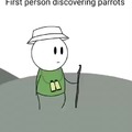 First person discovering parrots