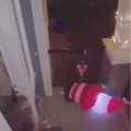 He caught his mom bangin' Santa under the tree