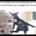 granjero árabe monta a su burro en un columpio y le canta una canción de guerra saudí buscar