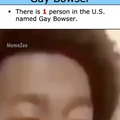 gay bowser