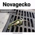 Novagecko 1. Serpiente 0.