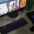 commented item thumbnail