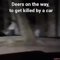 deers are evil