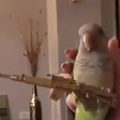 This bird is a fighter