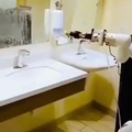 Robot limpiador de baños