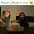 Doggo birthday meme