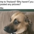 How was your trip to Thailand