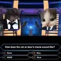 Who Wants To Be A Millionaire Cat