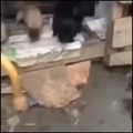 commented item thumbnail