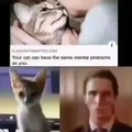 Damn cat is fucked up