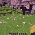 commented item thumbnail