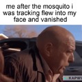 Mosquito time