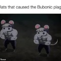 The Rats that caused the Bubonic plague