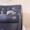commented item thumbnail