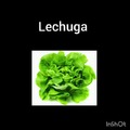 Lechuga