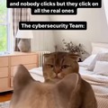 Cybersecurity meme