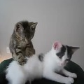 commented item thumbnail