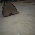 commented item thumbnail