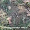 commented item thumbnail