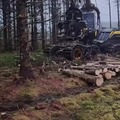 Easily cutting a tree