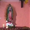 Clases De Albures En "La Rosa De Guadalupe"