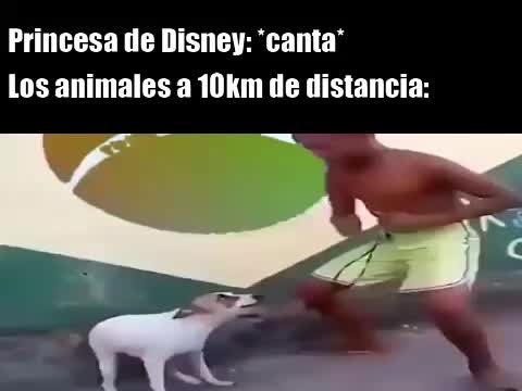 Dance Till You Re Dead Meme By Unweonsimpatico Memedroid