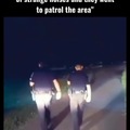 The police running to the car to call the police for help