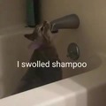 Swallowed shampoo