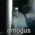 Amomgus 