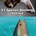 21 species declared extinct
