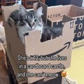 commented item thumbnail