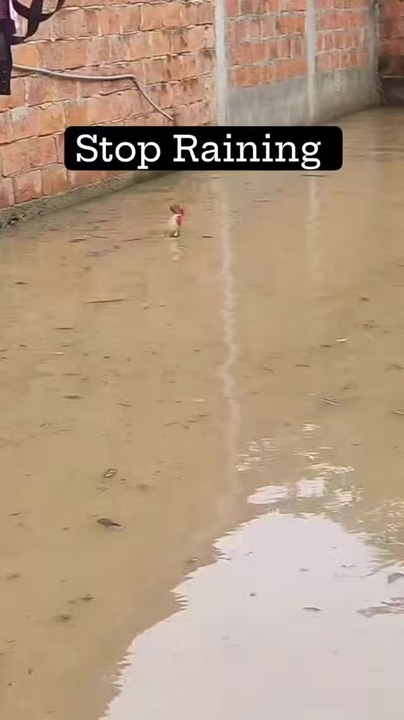 Rain - Meme by Knot_daddy :) Memedroid