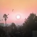 Video de Youtube de Ajolote Posting, gracias crack