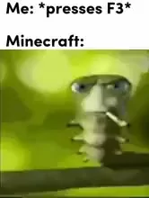 Minecraft press f to pay respects Memes & GIFs - Imgflip