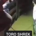 Troleador Toro