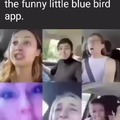Funny little blue bird app