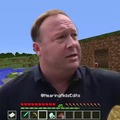 dongs in a minecraft
