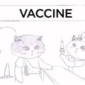Explicando pros negacionistas como vacinas funcionam- Dúvidas? Perguntem nos comentários