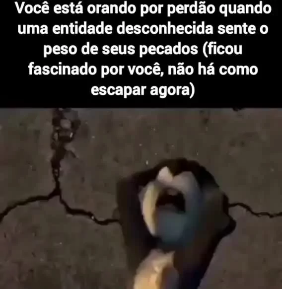 Escrotal memes. Best Collection of funny Escrotal pictures on iFunny Brazil