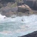 Saving a surfer