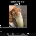 commented item thumbnail