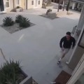 Man saves his cat from pit bull attack
