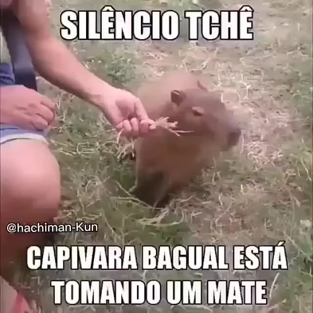 Capivara agiota - iFunny Brazil