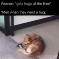 give this doggo a hug