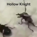 Hollow knight en resumen