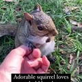 commented item thumbnail