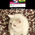 commented item thumbnail