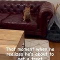 commented item thumbnail