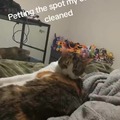commented item thumbnail
