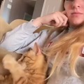 Cat hug